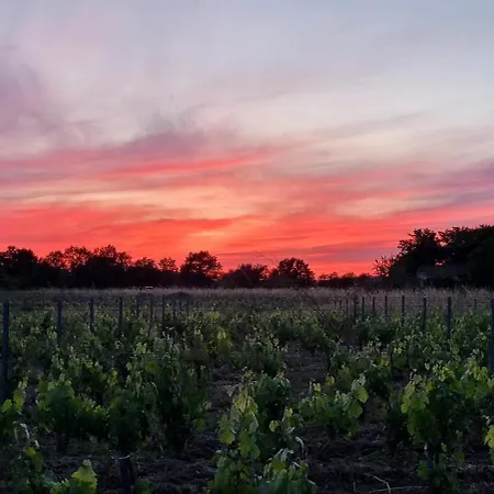 Ferienhaus Maison Finchette Pour 2 - 5 Min Saint-Emilion - Terrasse Privee - Parking - Arrivee Autonome Sainte-Terre