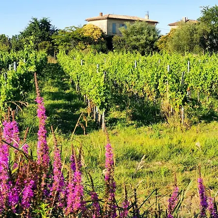 5km Saint-émilion, Confortable Indépendant, Terrasse - 2 Personnes Сasa de vacaciones *