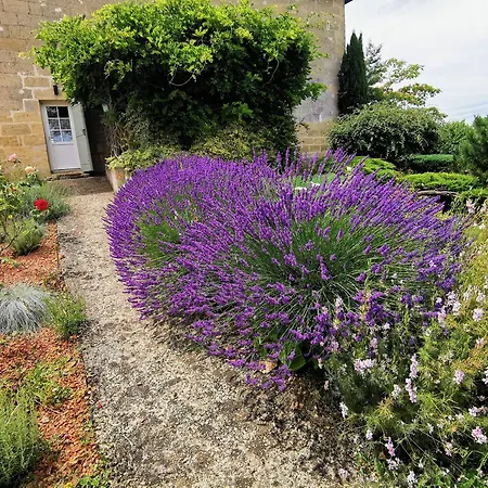 Maison Finchette Pour 2 - 5 Min Saint-Emilion - Terrasse Privee - Parking - Arrivee Autonome Ferienhaus *
