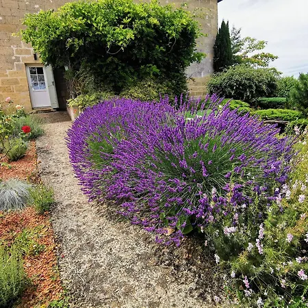 Proche Saint-emilion, Confortable Renove Avec Terrasse - 2 Personnes Holiday home *