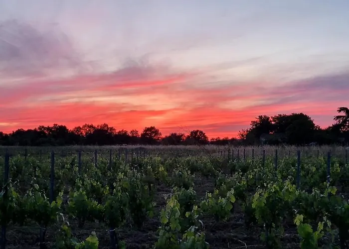 Дом отдыха 5km Saint-emilion, Confortable Independant, Terrasse - 2 Personnes Sainte-Terre
