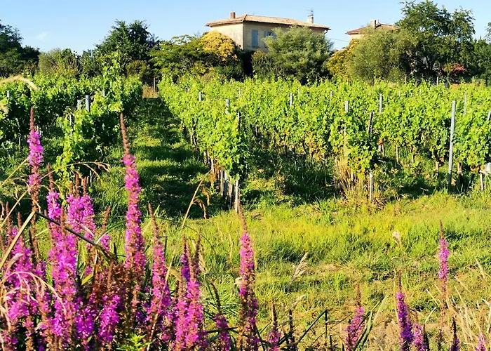 5km Saint-emilion, Confortable Independant, Terrasse - 2 Personnes Дом отдыха *
