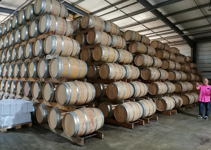 5km Saint-emilion, Confortable Independant, Terrasse - 2 Personnes *